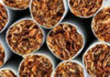 GCC tobacco tax rise will fuel illicit trade