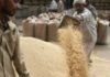 Egypt’s scope to boost local wheat purchase limited