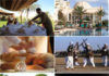Domestic tourism, a survival strategy!