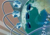 Tunisia: number of Internet subscribers reach968,025