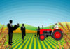 Tunisia: agricultural sector to achieve growth of 1.2% in 2014