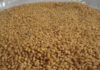 Tunisia buys 92,000 T wheat, 75,000 T feed barley in tender
