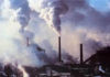 Tunisia: reported industrial investment fall 19%