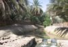 Tunisia: promising bookings in Tozeur, boosted by 3 events