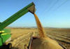 Tunisia to import 1.6 million tons of grain despite good harvest