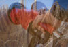Tunisia: the current deficit to decline in 2009/2010 due to commodities