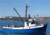 Tunisia: bluefin tuna catch quota slightly raised