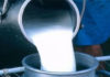 Tunisia: activity of milk drying unit resumes