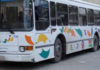 Tunisia: STS strengthens its fleet with 78 new buses