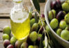 Tunisia-olive season: everything is hunky-dory!