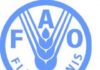 Tunisia to host FAO Regional Conference on Improving Water Productivity in Agriculture