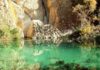 Tunisia: occupancy rate in hotels in Tozeur reaches 100%