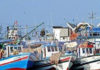 Tunisia: fisheries production down 4%
