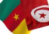 Tunisia: business mission in Cameroon