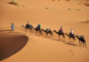 Tunisia: 40 Russian tour operators land in Kebili