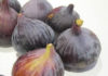 Tunisia: promotion day of Beja flagship product “Djebba” fig