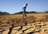 Tunisia: is the country really hit by drought?