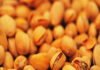 Tunisia: Gafsa 2nd producer of pistachios