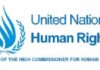 UN expert urges Cameroon to restore internet services cut off in rights violation