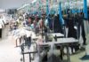 Tunisia: oil boom boosts non-manufacturing industries