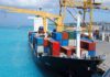 Tunisia: exports of organic products edge up 43%