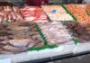 Tunisia: trade balance of fishery products shows surplus of 239.3 MD