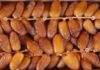 Tunisia: date exports generate 219 MD in 3 months