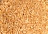 Tunisia to buy 100,000 T of durum wheat