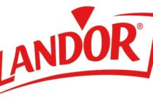 Exports, debt reduction… Land’Or delivers a record H1 2026
