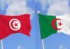 Tunisia: eight irregular flights from Djerba to Algiers from mid-July