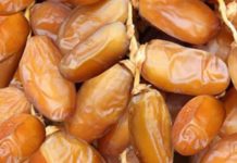 Morocco still top importer of Tunisian dates