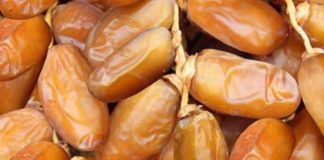 Morocco still top importer of Tunisian dates