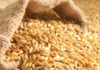 Tunisia gets offers in wheat, durum and barley tender