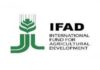Tunisia: IFAD funds program for 16,800 poor rural families in Kairouan