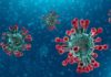 Tunisia: coronavirus could cause economy to lose 0.5% growth