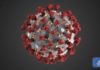 US CDC reports 865,585 coronavirus cases and. 48,816 deaths