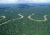 Amazon city resorts to mass graves as Brazil Covid-19 deaths soar