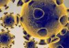 Worldwide coronavirus cases approach 3 million, death toll crosses 205,000