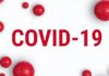 17 more confirmed infection cases reported