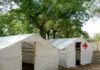 Over 2,000 Stranded Chadian Students return Home