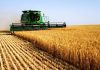 Tunisia: grain production estimated at 18 million quintals in 2021-2022 season