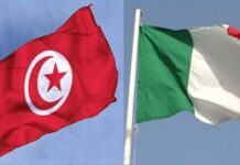 Hitachi Energy secures €770-million contract for landmark Tunisia-Italy power