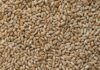 Tunisia tenders for 150,000 T soft wheat, 50,000 T durum