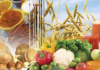 Tunisia: food balance deficit beset by grain imports