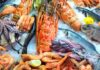 Tunisia: fishing products trade balance shows surplus of 58 MD