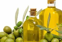 Italy leading importer of Tunisian organic olive oil