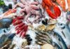 Balance of trade in fishery products records surplus of 83.2 million dinars