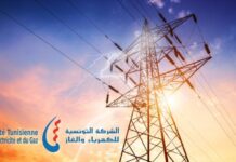 Tunisia: Complete restructuring of STEG would require at least TND 12 billion, says MP