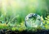 Tunisia joins global fight against biodiversity loss