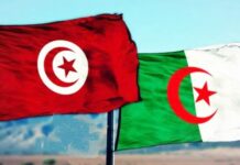 Tunisia & Algeria to develop new submarine cable linking North Africa to Italy